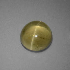 3.69 ct Green Cat's Eye Apatite Stone, Natural Cat's Eye Apatite in Round Cabochon Shape for Sale