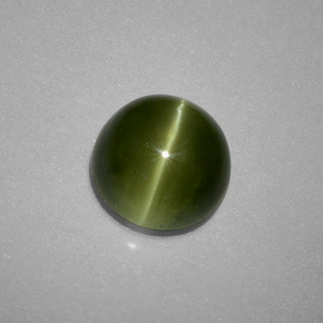 2.71 ct Green Cat's Eye Apatite Gemstone, Cat's Eye Apatite Gem in Round Cabochon Shape for Sale.