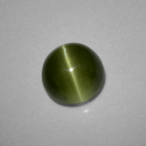 2.71 ct Green Cat's Eye Apatite Stone, Natural Cat's Eye Apatite in Round Cabochon Shape for Sale
