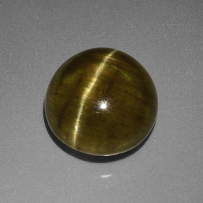 4.23 ct Green Cat's Eye Apatite Stone, Natural Cat's Eye Apatite in Round Cabochon Shape for Sale