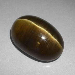20.30 ct Brown Cat's Eye Apatite Stone, Natural Cat's Eye Apatite in Oval Cabochon Shape for Sale