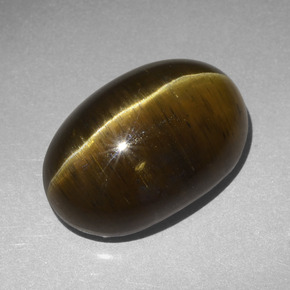 Cat's Eye Apatite Gemstone in 19 x 13 mm Size for Sale, Cat's Eye Apatite Stone in Golden Brown Color