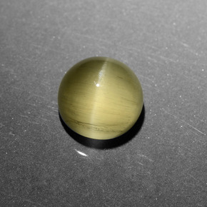6.11 ct Gold Cat's Eye Apatite Gemstone, Cat's Eye Apatite Gem in Round Cabochon Shape for Sale.