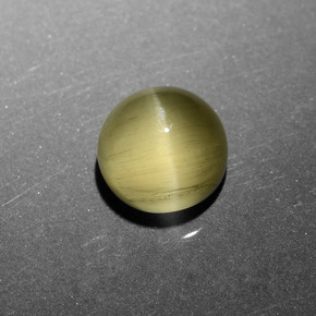 6.11 ct Gold Cat's Eye Apatite Stone, Natural Cat's Eye Apatite in Round Cabochon Shape for Sale