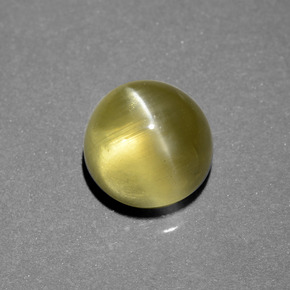 6.34 ct Gold Cat's Eye Apatite Stone, Natural Cat's Eye Apatite in Round Cabochon Shape for Sale