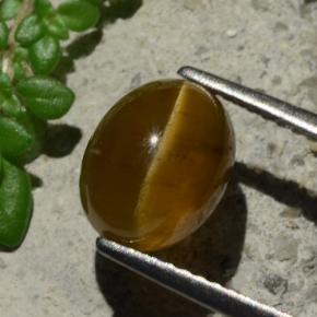 3.16 ct Orange Cat's Eye Apatite Stone, Natural Cat's Eye Apatite in Oval Cabochon Shape for Sale
