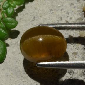 Cat's Eye Apatite Gemstone in 9 x 7 mm (calibrated) Size for Sale, Cat's Eye Apatite Stone in Orange Color