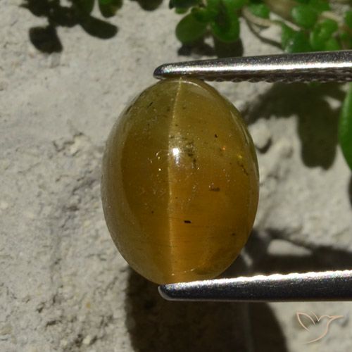 Apatite occhio di gatto marrone da 3,64 ct, taglio ovale da 10,6 x 7,9 mm dal Kenya, Photo A