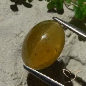 3.64 ct Brown Cat's Eye Apatite Stone, Natural Cat's Eye Apatite in Oval Cabochon Shape for Sale