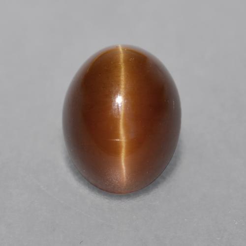 Warm Brown Cat's Eye Apatite Gem - 2.1ct Oval Cabochon (ID: 483761)