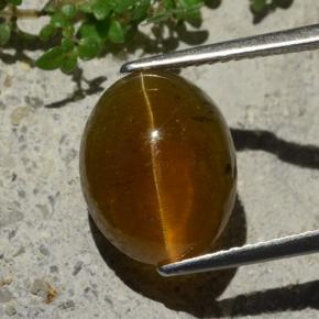5.80 ct Brown Cat's Eye Apatite Gemstone, Cat's Eye Apatite Gem in Oval Cabochon Shape for Sale.