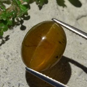 5.80 ct Brown Cat's Eye Apatite Stone, Natural Cat's Eye Apatite in Oval Cabochon Shape for Sale
