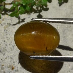 Cat's Eye Apatite Gemstone in 12 x 10 mm (calibrated) Size for Sale, Cat's Eye Apatite Stone in Medium Brown Color