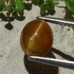 1.8ct Oval Cabochon Brownish Green Cat's Eye Apatite for sale thumb image of 1.8ct Oval Cabochon Brownish Green Cat's Eye Apatite (ID: 483763)