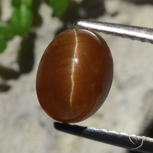 2.05 ct Brown Cat's Eye Apatite, 7.9 x 6.1 mm Oval Cut From Kenya, Photo A