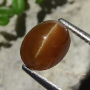 2.05 ct Brown Cat's Eye Apatite Stone, Natural Cat's Eye Apatite in Oval Cabochon Shape for Sale