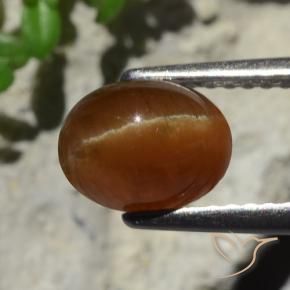 Cat's Eye Apatite Gemstone in 8 x 6 mm (calibrated) Size for Sale, Cat's Eye Apatite Stone in Deep Brown Color