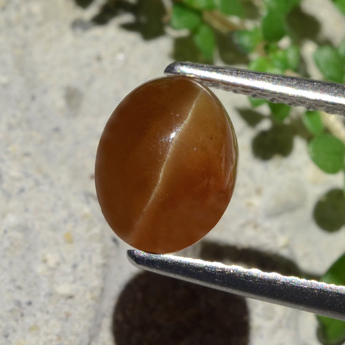 Gingerbread Brown Apatit-Katzenauge Edelstein - 1.9ct Oval Cabochon (ID: 483910)