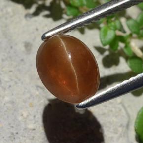 1.91 ct Brown Cat's Eye Apatite Stone, Natural Cat's Eye Apatite in Oval Cabochon Shape for Sale