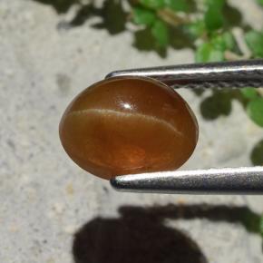 Cat's Eye Apatite Gemstone in 8 x 6.3 mm Size for Sale, Cat's Eye Apatite Stone in Gingerbread Brown Color