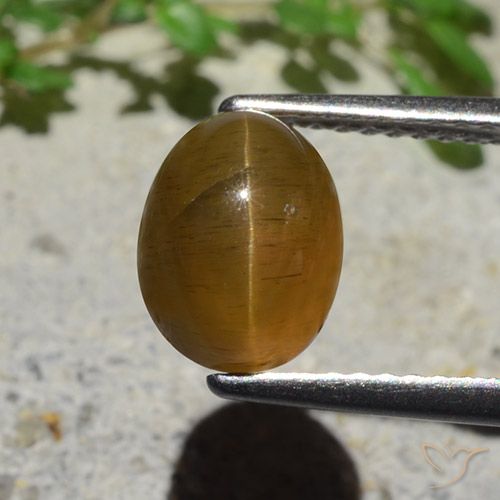 Apatite occhio di gatto marrone da 2,89 ct, taglio ovale da 8,8 x 6,7 mm dal Kenya, Photo A