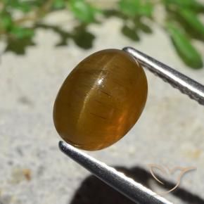 2.89 ct Brown Cat's Eye Apatite Stone, Natural Cat's Eye Apatite in Oval Cabochon Shape for Sale