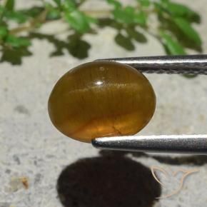 Cat's Eye Apatite Gemstone in 8.8 x 6.7 mm Size for Sale, Cat's Eye Apatite Stone in Caramel Brown Color