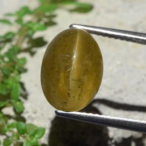 6.4ct Oval Cabochon Golden Green Cat's Eye Apatite Gem for sale 6.4ct Oval Cabochon Golden Green Cat's Eye Apatite Gem (ID: 483912)