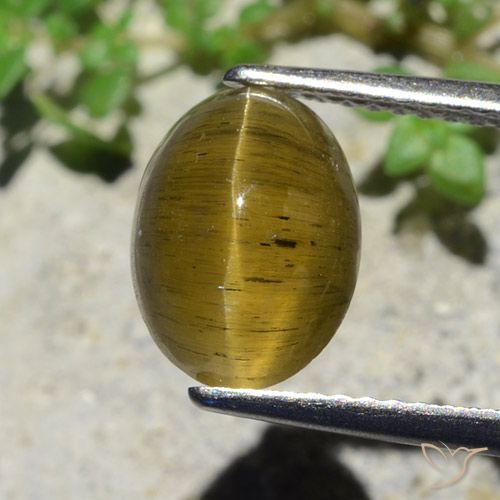 3.38 ct Yellow Cat's Eye Apatite, 10 x 7.5 mm Oval Cut From Kenya, Photo A