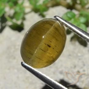 3.38 ct Yellow Cat's Eye Apatite Stone, Natural Cat's Eye Apatite in Oval Cabochon Shape for Sale