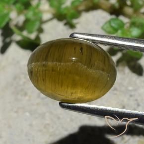 Cat's Eye Apatite Gemstone in 10 x 7.5 mm Size for Sale, Cat's Eye Apatite Stone in Earthy Yellow Color