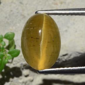 4.6ct Oval Cabochon Golden Green Cat's Eye Apatite for sale thumb image of 4.6ct Oval Cabochon Golden Green Cat's Eye Apatite (ID: 483915)