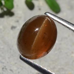 1.93 ct Orange Cat's Eye Apatite Stone, Natural Cat's Eye Apatite in Oval Cabochon Shape for Sale
