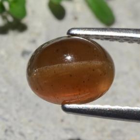 Cat's Eye Apatite Gemstone in 7.9 x 6.3 mm Size for Sale, Cat's Eye Apatite Stone in Orange Color
