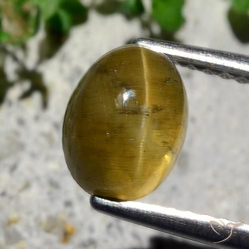 Apatite gialla a occhio di gatto da 2,12 ct, taglio ovale da 7,8 x 6,1 mm dal Kenya, Photo A