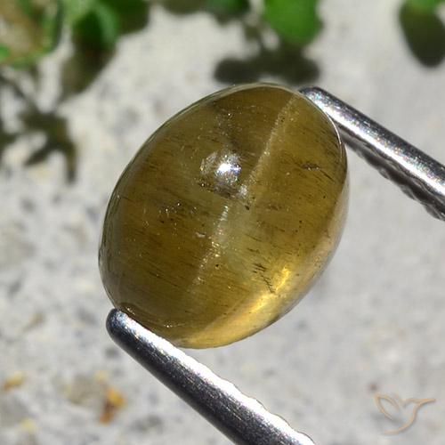 2.12 ct Yellow Cat's Eye Apatite Stone, Natural Cat's Eye Apatite in Oval Cabochon Shape for Sale