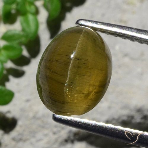 Apatite occhio di gatto marrone da 3,23 ct, taglio ovale da 9,2 x 7,2 mm dal Kenya, Photo A