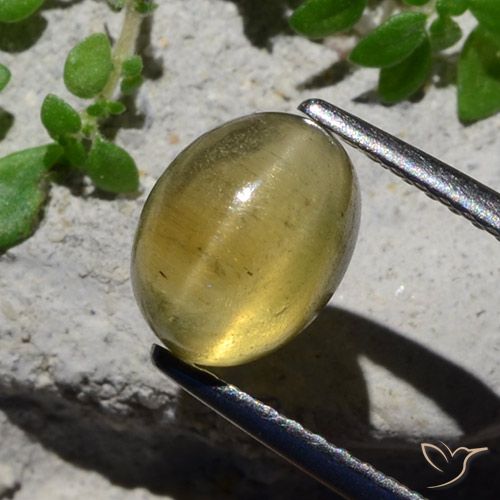 Apatite gialla a occhio di gatto da 2,38 ct, taglio ovale da 8,3 x 6,4 mm dal Kenya, Photo A