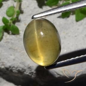 2.38 ct Yellow Cat's Eye Apatite Stone, Natural Cat's Eye Apatite in Oval Cabochon Shape for Sale