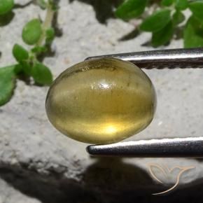 Cat's Eye Apatite Gemstone in 8.3 x 6.4 mm Size for Sale, Cat's Eye Apatite Stone in Light Yellow Color