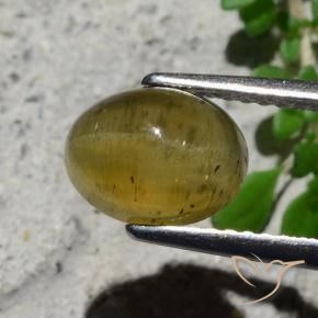 Cat's Eye Apatite Gemstone in 9 x 7 mm (calibrated) Size for Sale, Cat's Eye Apatite Stone in Medium Yellow Color
