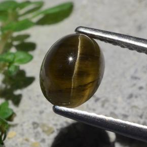 2.01 ct Brown Cat's Eye Apatite Gemstone, Cat's Eye Apatite Gem in Oval Cabochon Shape for Sale.