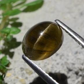 2.01 ct Brown Cat's Eye Apatite Stone, Natural Cat's Eye Apatite in Oval Cabochon Shape for Sale