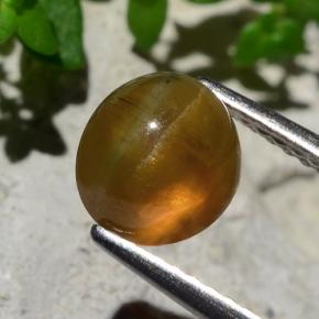 2.17 ct Orange Cat's Eye Apatite Stone, Natural Cat's Eye Apatite in Round Cabochon Shape for Sale