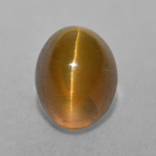 Marron clair Oeil de chat Apatite gemme - 3.4ct Ovale Cabochon (ID: 483933)