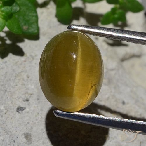 Apatite effetto occhio di gatto giallo taglio ovale da 3,87 ct dal Kenya, dimensione 10 x 7,8mm, pietra preziosa naturale non trattati , purezza Translucent, Apatite effetto occhio di gatto Ovale cabochon da 1 pz, durezza Mohs di 5 - 5, Photo A