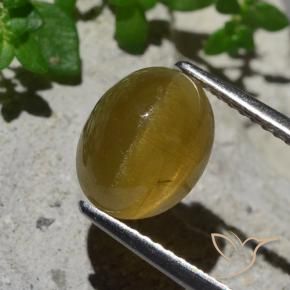 3.87 ct Yellow Cat's Eye Apatite Stone, Natural Cat's Eye Apatite in Oval Cabochon Shape for Sale