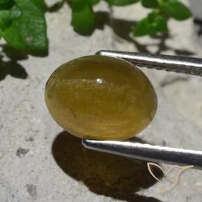 Cat's Eye Apatite Gemstone in 10 x 8 mm (calibrated) Size for Sale, Cat's Eye Apatite Stone in Earthy Yellow Color