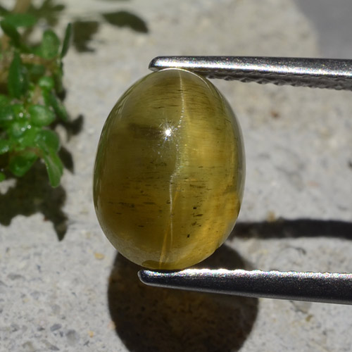 Brownish Yellow Cat's Eye Apatite Gem - 4.3ct Oval Cabochon (ID: 483937)