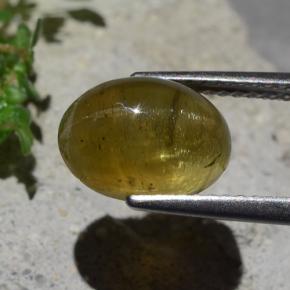 Cat's Eye Apatite Gemstone in 10.4 x 7.6 mm Size for Sale, Cat's Eye Apatite Stone in Brownish Yellow Color